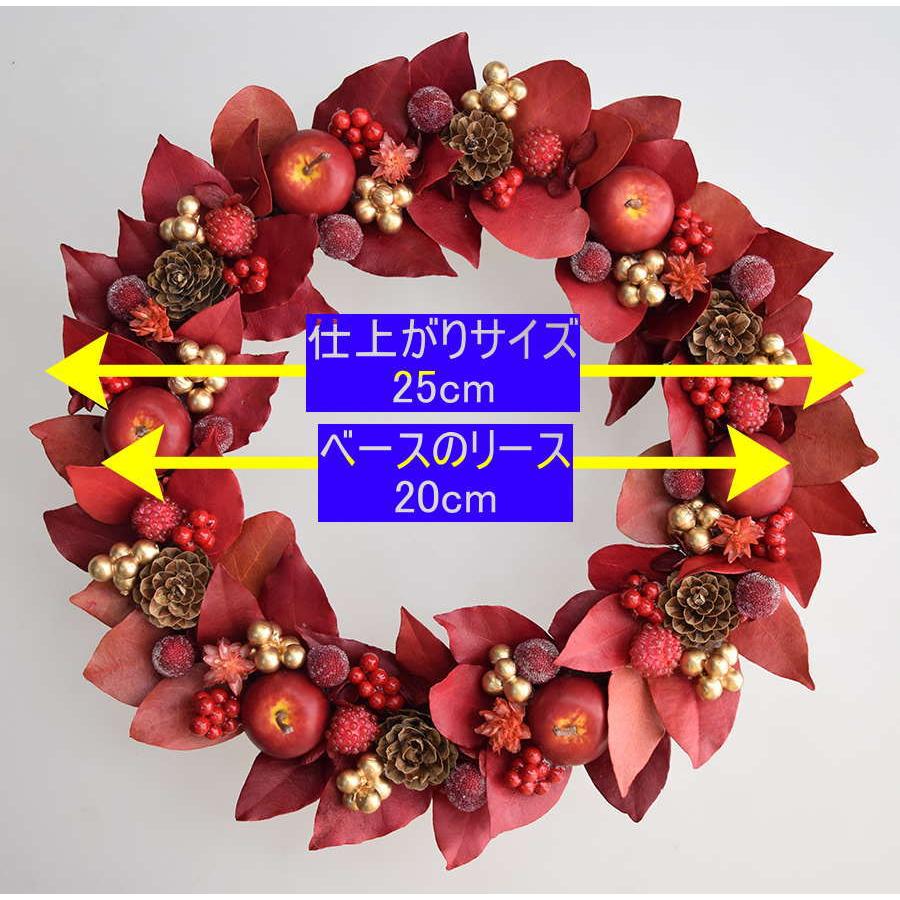 クリスマスリース 赤い葉っぱとリンゴに木の実 ギフト クリスマスリース 赤い葉っぱとリンゴに木の実 ギフト