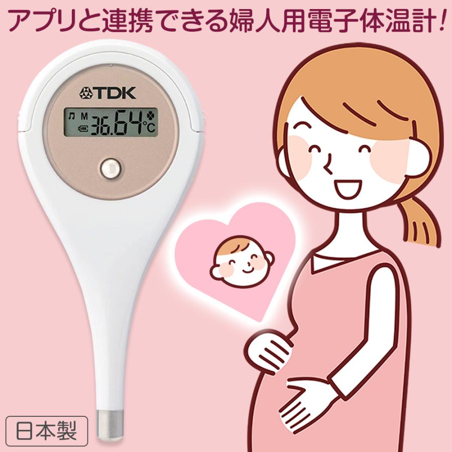 TDK 婦人用電子体温計 HT-301 婦人体温計 日本製 基礎体温 記録 実測式