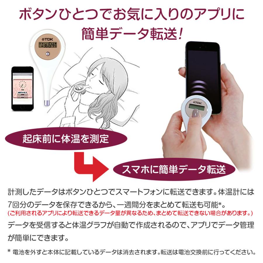 TDK 婦人用電子体温計 HT-301 婦人体温計 日本製 基礎体温 記録 実測式
