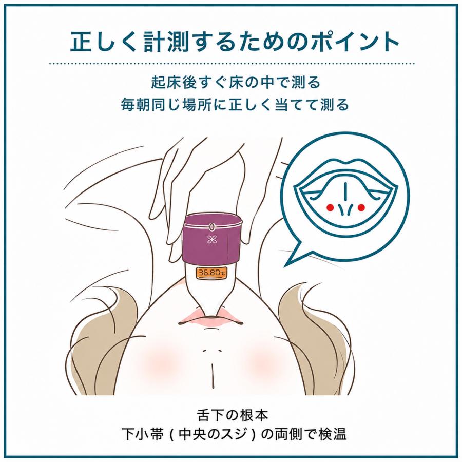 当日出荷 婦人用電子体温計 OMRON オムロン MC-652LC 予測 iPhone