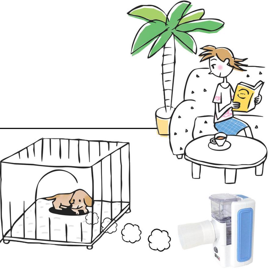 ネザーゴイフ 拡張 4枚セット 日本語版 ネザーゴイフ 日本語版4