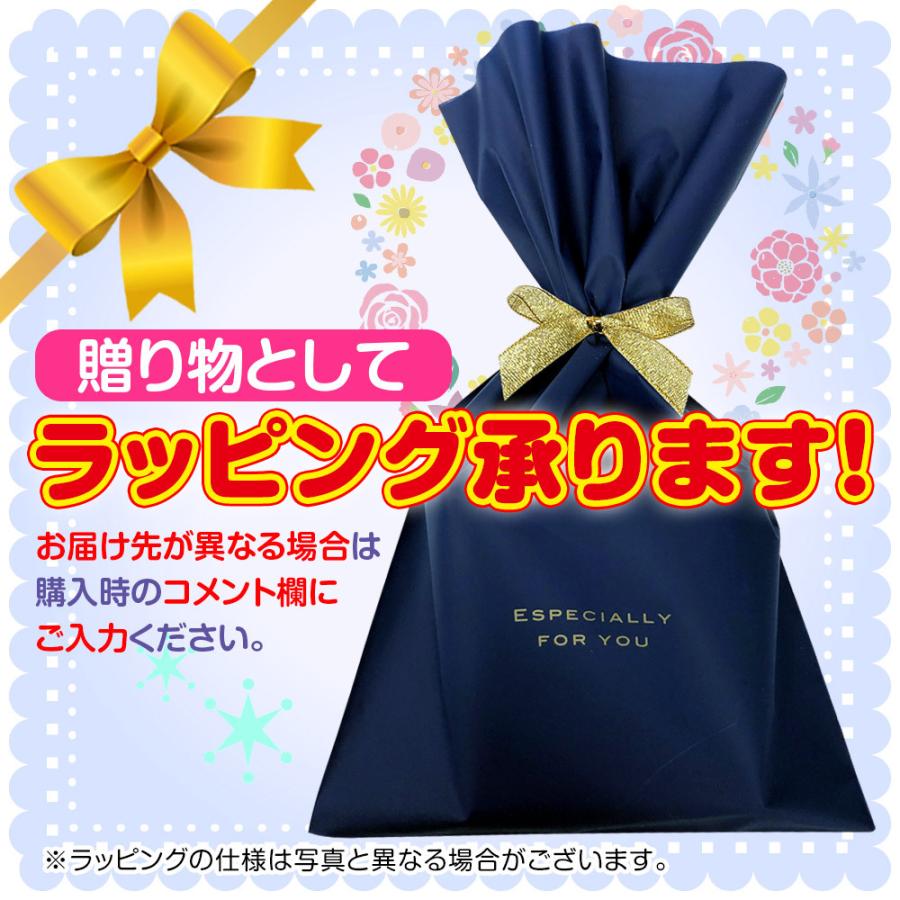 ニコン（Nikon） 補聴器 水没・破損特別保証付 耳あな型 ニコン