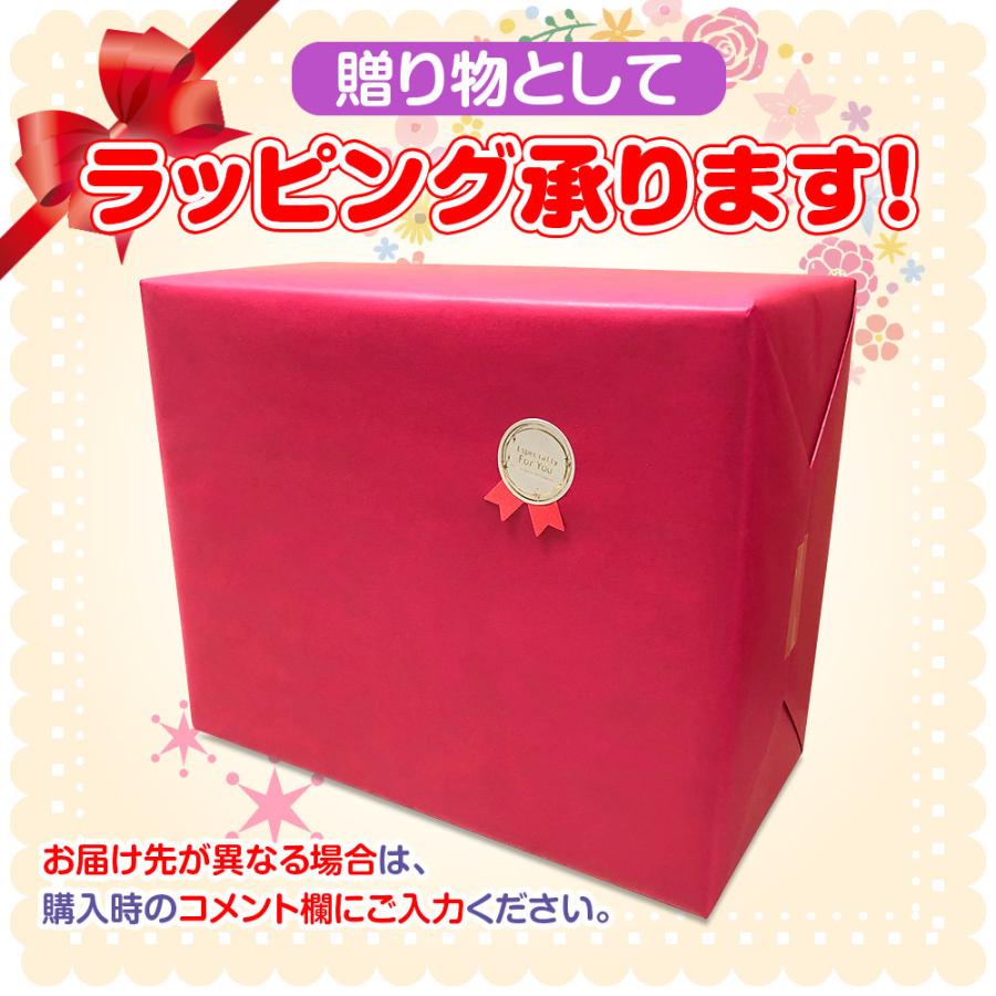 電動鼻水吸引器 NOZOMI くますぅ〜ポット NS-100 日本製 鼻水吸引キャッチャー付 鼻吸い器 鼻吸い機 出産祝い 子供 鼻水吸引 赤ちゃん 吸引力 無料ラッピングの画像