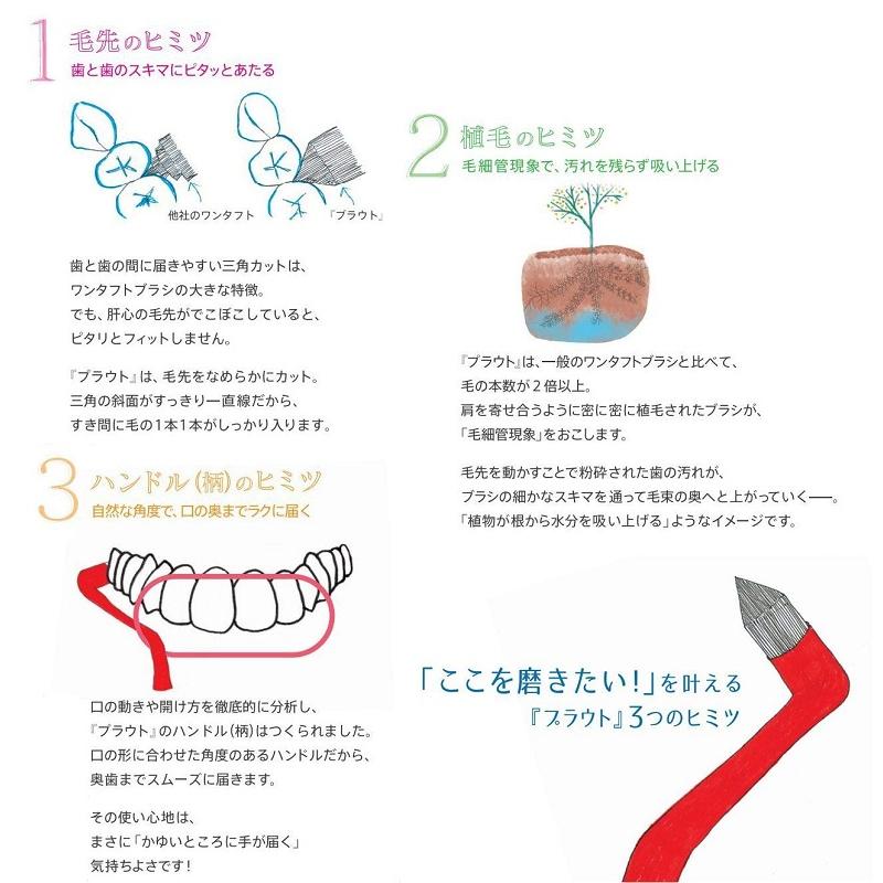 オーラルケア プラウト Plaut × 4本 アソート (S（ソフト）) 【カラー