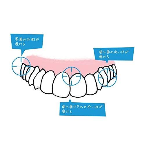 オーラルケア プラウト Plaut × 4本 アソート (S（ソフト）) 【カラー