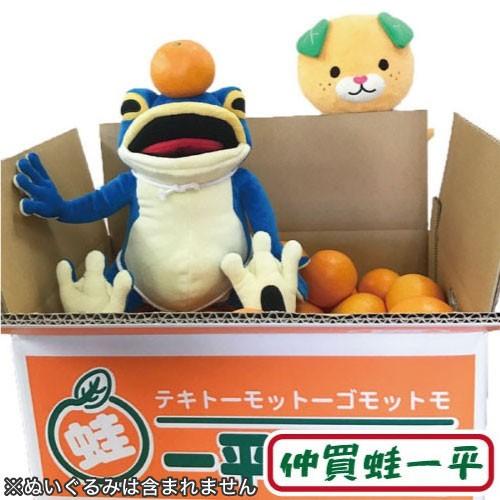 規格外 紅まどんな ※11末より順次発送開始 : 四国の掘り出し物Yahoo