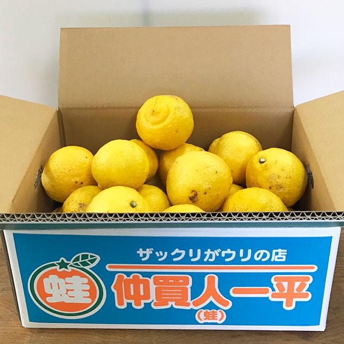 はるか（規格外） : 四国の掘り出し物Yahoo!ショップ - 通販 - Yahoo