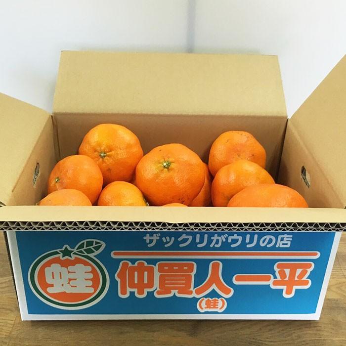 甘平（規格外）（5kg）2月上旬から［順次発送］ : 四国の掘り出し物