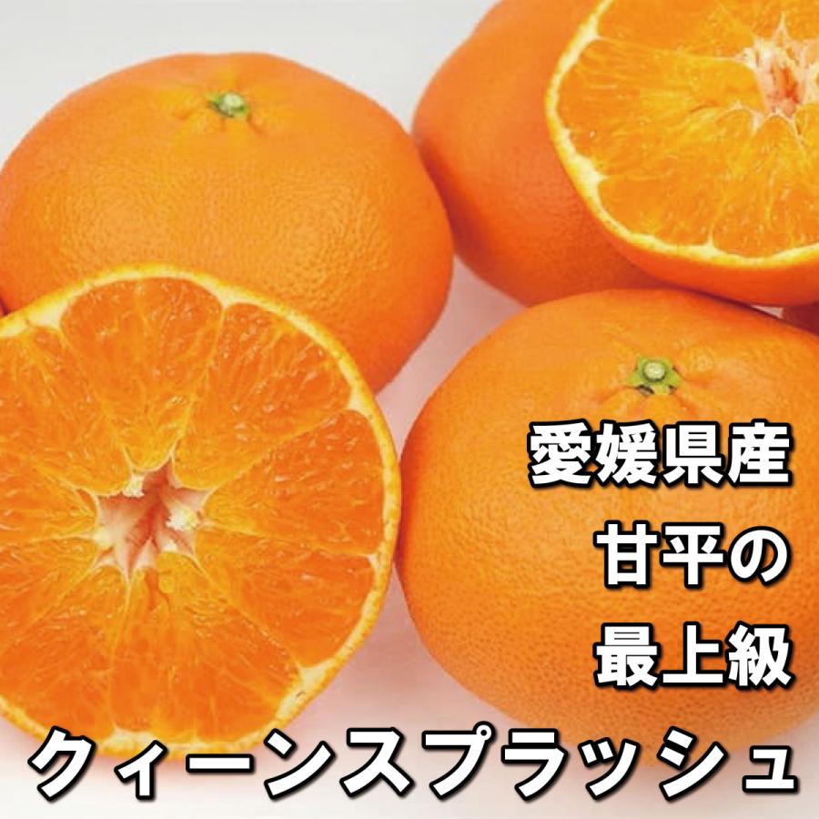 きたーー‼️超絶SP超高糖度！万田酵素クィーンスプラッシュ甘平9000円4 きたーー‼️超絶SP超高糖度！万田酵素クィーンスプラッシュ甘平