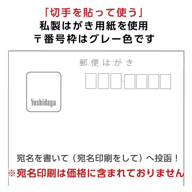 喪中はがき 寒中見舞い 印刷 160枚 ハガキ 用紙 年賀欠礼 名入れ 帰蝶堂｜aisatsujou｜05