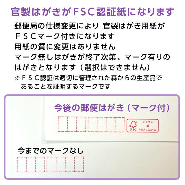 喪中はがき 寒中見舞い 印刷 200枚 官製 郵便ハガキ 用紙 年賀欠礼 名入れ 帰蝶堂｜aisatsujou｜10