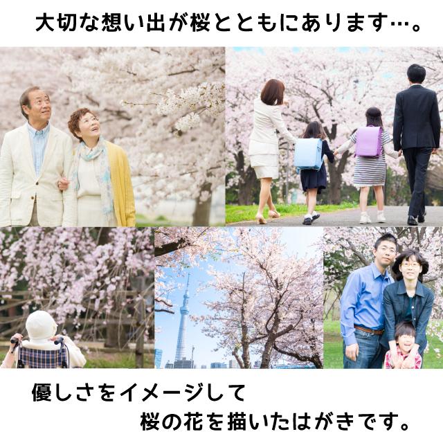 喪中はがき 寒中見舞い 桜デザイン 80枚 印刷 さくら 年賀欠礼 ハガキ 手紙 名入れ 帰蝶堂｜aisatsujou｜02