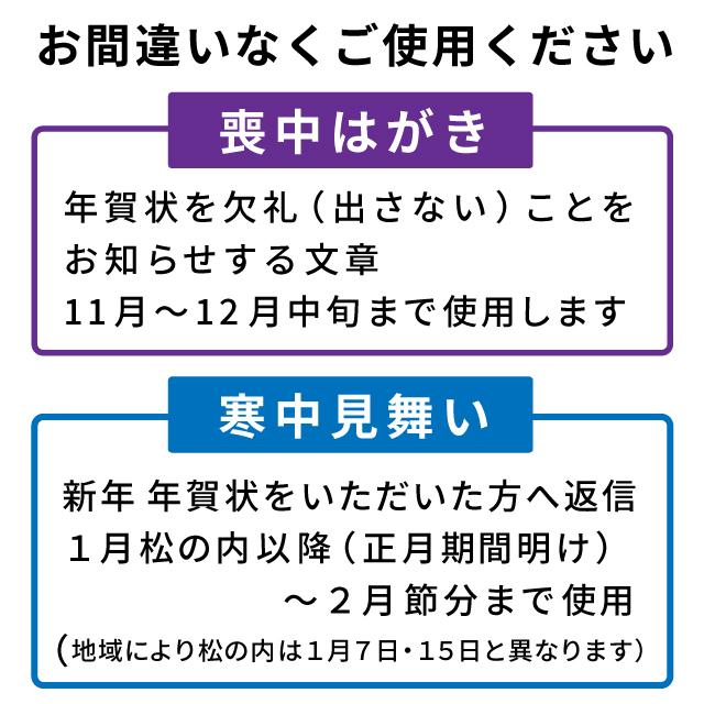 喪中はがき 寒中見舞い 用紙のみ 秋草 10枚 デザイン イラスト 絵柄印刷済み 無地 喪中 年賀状辞退 年賀欠礼 帰蝶堂｜aisatsujou｜05