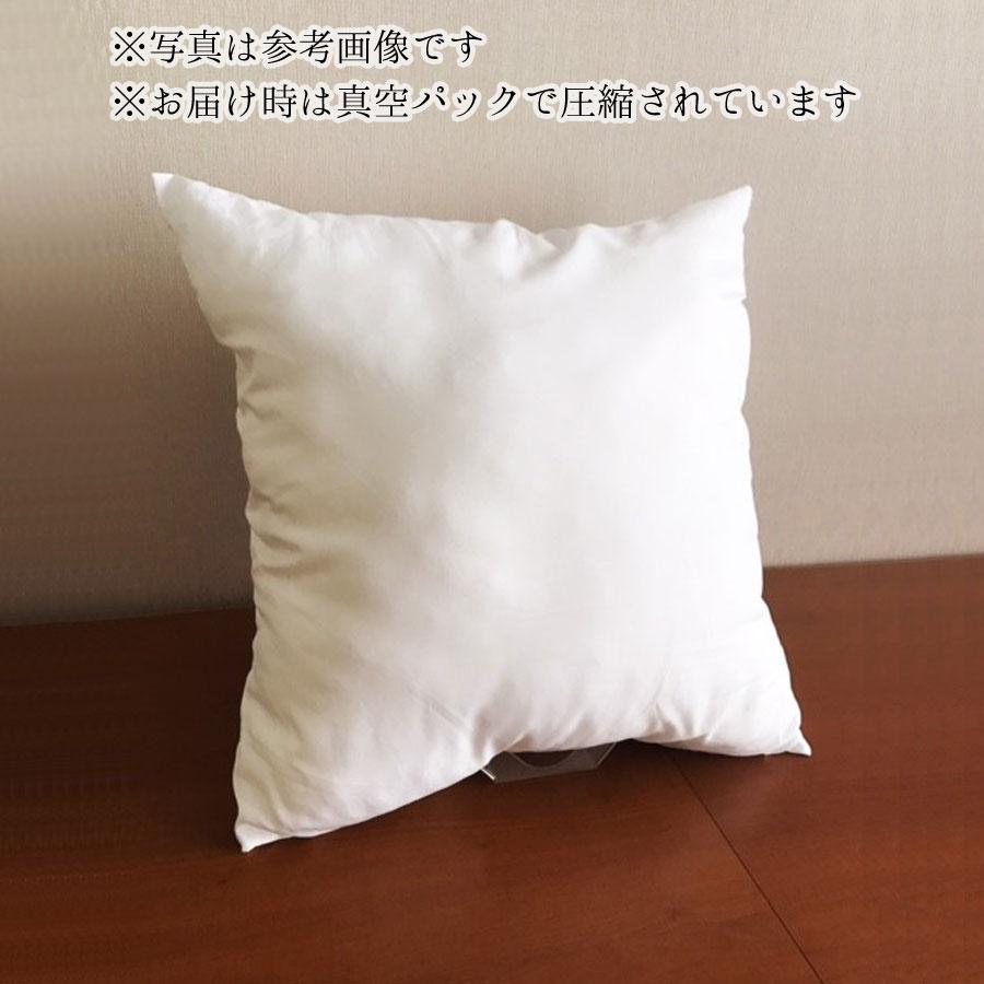 ヌードクッション 50cm×50cm クッションの綿 クッションの中身 真空