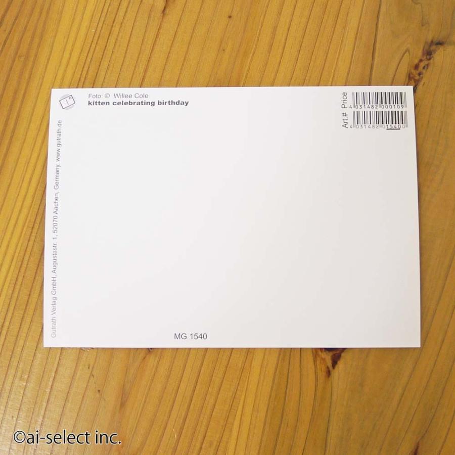 バースデーカード 即納 誕生日 写真 ドイツ直輸入 縦型 はがき ハガキ ネコ シンプル 北欧 メッセージカード 猫 ねこ おしゃれ cat zk |  | 02