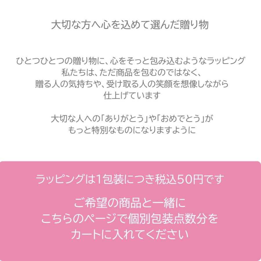 ラッピング専用ページ ギフト プレゼント 包装 贈り物 誕生日 記念日 お祝い プチギフト 父の日 母の日 クリスマス 短冊のし 短冊熨斗 |  | 01