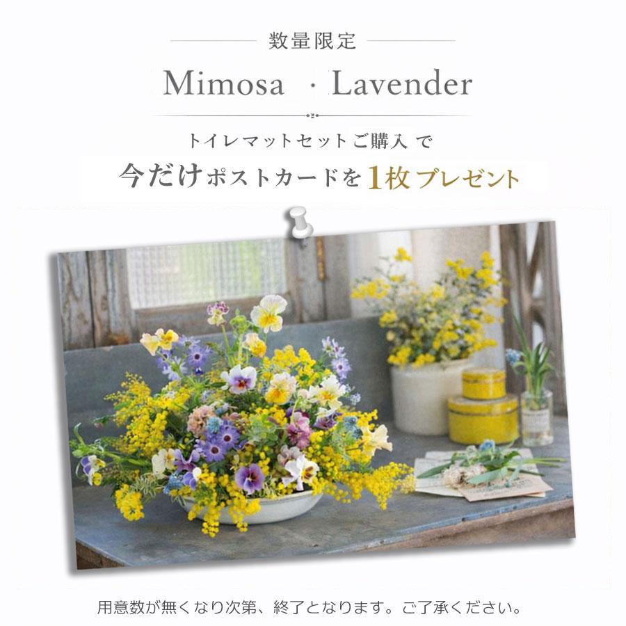 ai 3点セット ミモザポストカード付 人気 フタカバー無し ペーパー 