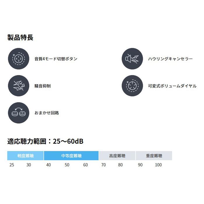 ニコン（Nikon） 補聴器 ニコン・エシロール 耳穴型 イヤファッション
