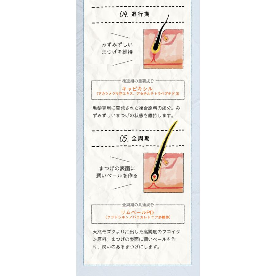 ラッシュオーセント LASH AUTHENT まつげ美容液 正規品 メール便送料