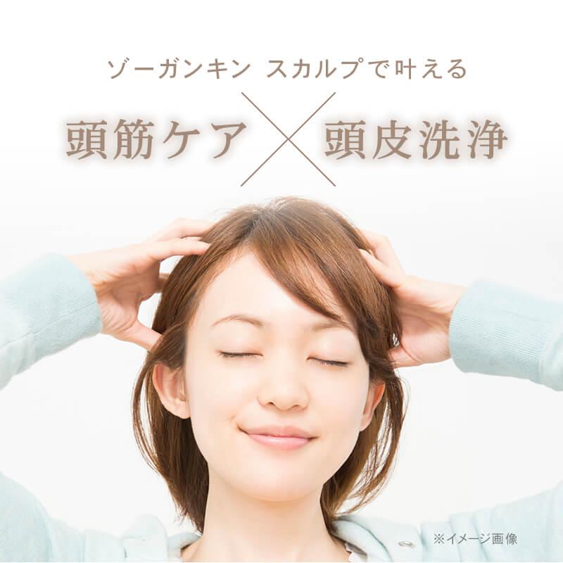 ゾーガンキンスカルプ EMS ヘッドスパ 頭皮 頭皮ケア 送料無料 ゾーガンキンスカルプ EMS ヘッドスパ 頭皮 頭皮ケア 送料無料