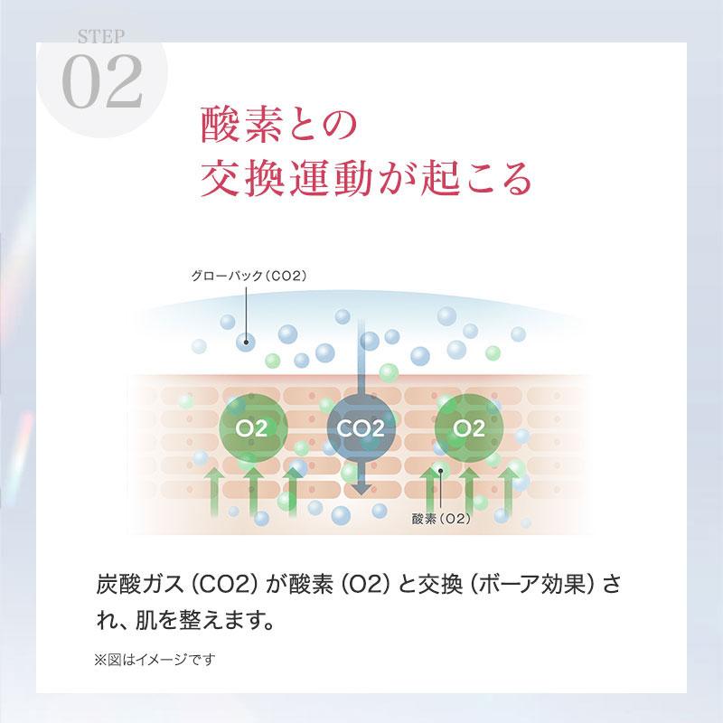 エニシー グローパック プレシャス(PRECIOUS) 1箱 10回分 エニシー グローパック プレシャス(PRECIOUS) 1箱 10回分