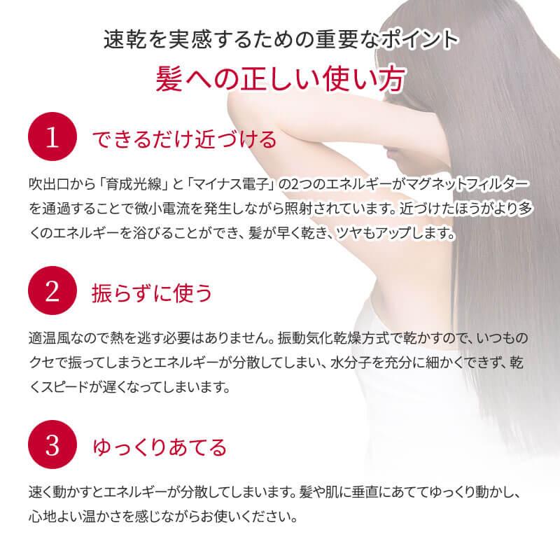 FUKUGEN ルーヴルドー 復元ドライヤー Pro8 LJ-365DR8 louvredo FUKUGEN ルーヴルドー 復元ドライヤー Pro8 LJ-365DR8 louvredo