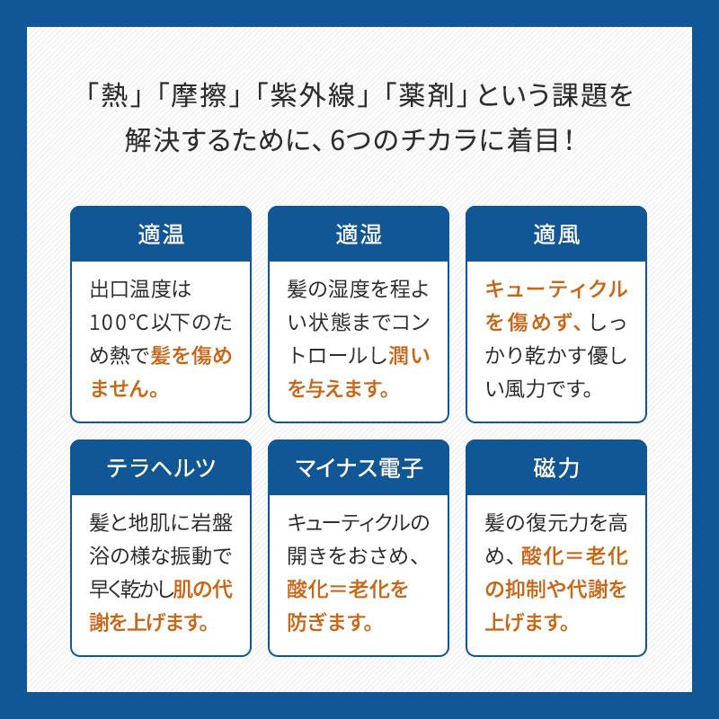 FUKUGEN ルーヴルドー 復元スタイラー8 LJS-365-B louvredo
