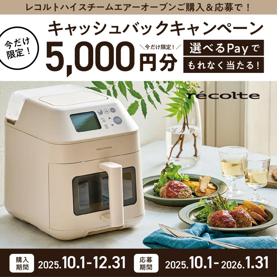 こ*堂様 1度使用　レコルト ハイスチームエアーオーブン RAO-3 recol ノベルティ付き】レコルト ハイスチームエアーオーブン