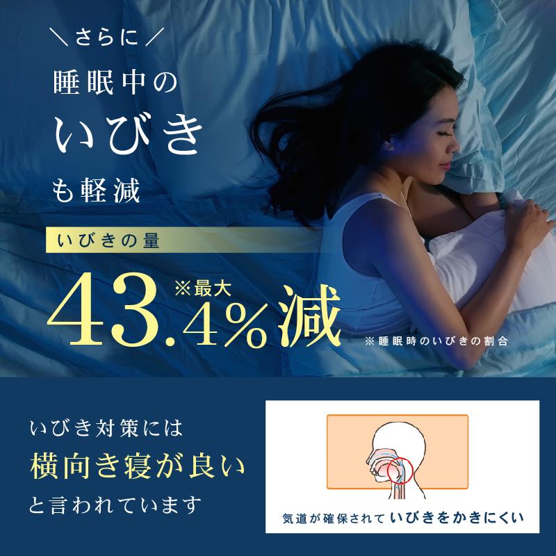 スリープエンリッチ ネックフリーピロー 専用カバー付 送料無料 スリープエンリッチ ネックフリーピロー 専用カバー付 送料無料