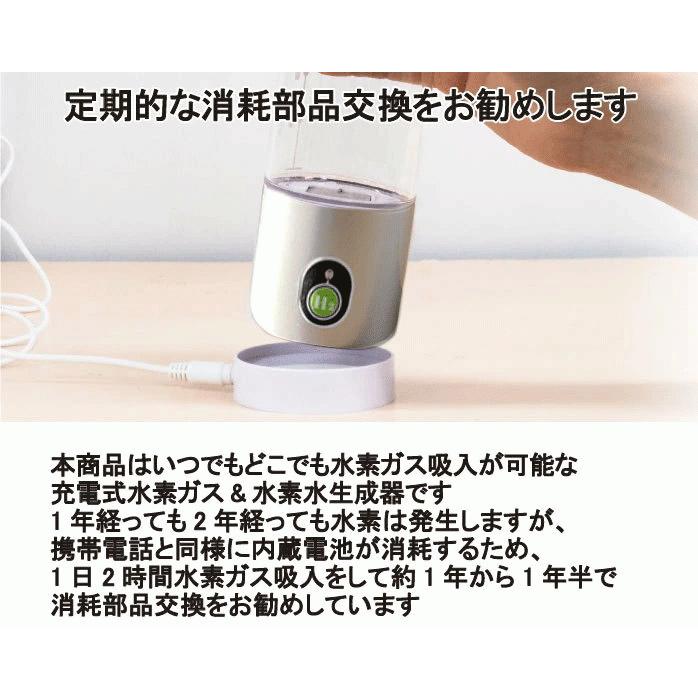 NEW ダブル水素ボトル AWH003-W 水素水サーバー+吸入器セット 日 NEW ダブル水素ボトル AWH003-W 水素水サーバー+吸入器セット 日