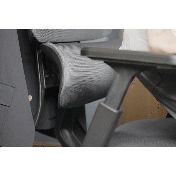 グロウスピカプロ GrowSpica pro Rasical正規品 腰 首 身体への グロウスピカプロ GrowSpica pro Rasical正規品 腰 首 身体への