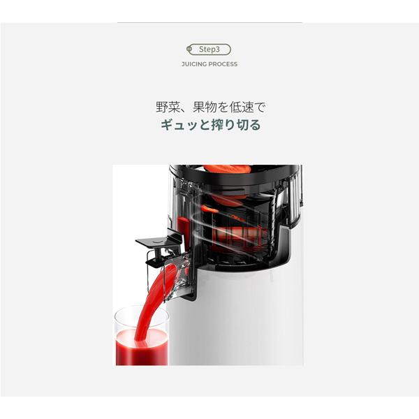 HUROM（ヒューロム） 2025年ニューモデル コールドプレスジューサー