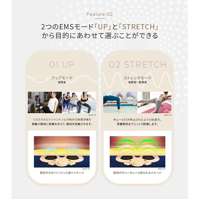 YA‐MAN（ヤーマン） クーポンあり ミーゼ スパトレーナー MS60N お尻