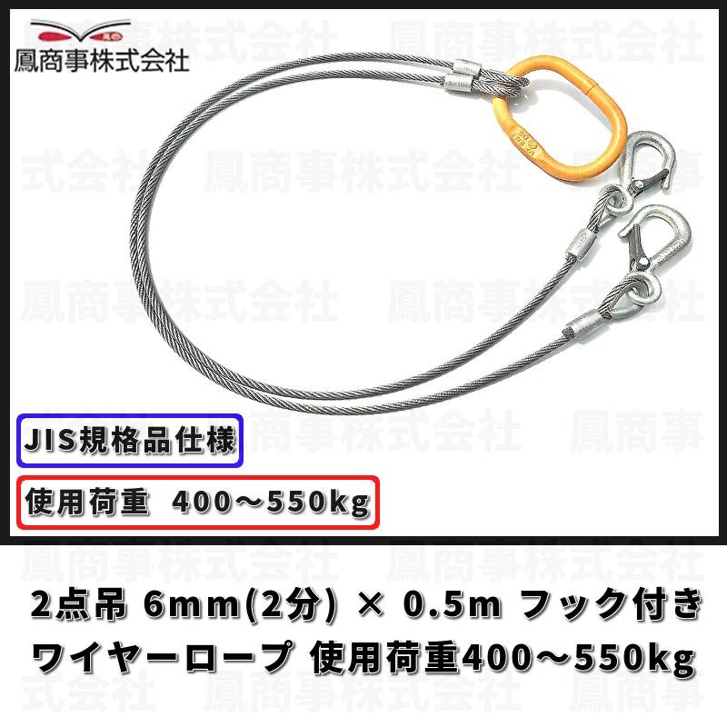 鳳商事株式会社 2点吊り Φ6mm(2分) フック付ワイヤーロープ 使用荷重 