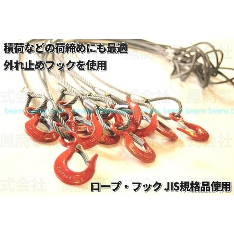 鳳商事株式会社 Φ9mm(3分) フック付ワイヤーロープ 10本セット 鳳商事株式会社 Φ9mm(3分) フック付ワイヤーロープ 10本セット