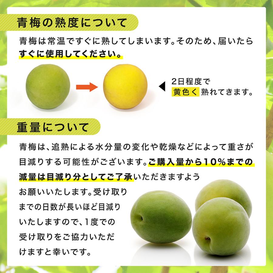青梅 南高梅 2〜3Lサイズ 5kg秀・ 優品 : 愛須商店 - 通販 - Yahoo
