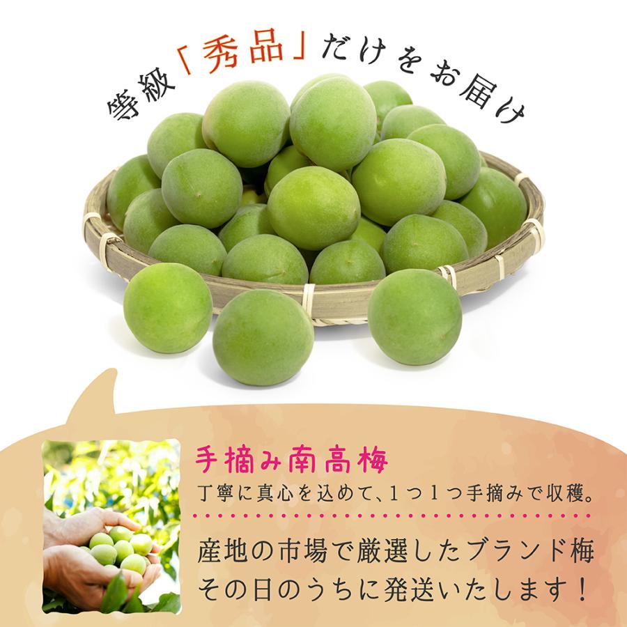 完熟 南高梅 3〜4Lサイズ 2kg 秀品 : 愛須商店 - 通販 - Yahoo