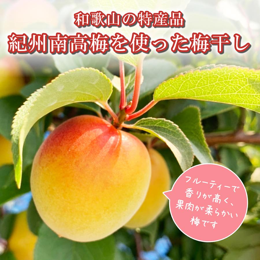白干し梅 つぶれ梅 紀州南高梅 1kg 大玉 和歌山県産 産地直送 白干し梅 つぶれ梅 紀州南高梅 1kg 大玉 和歌山県産 産地直送