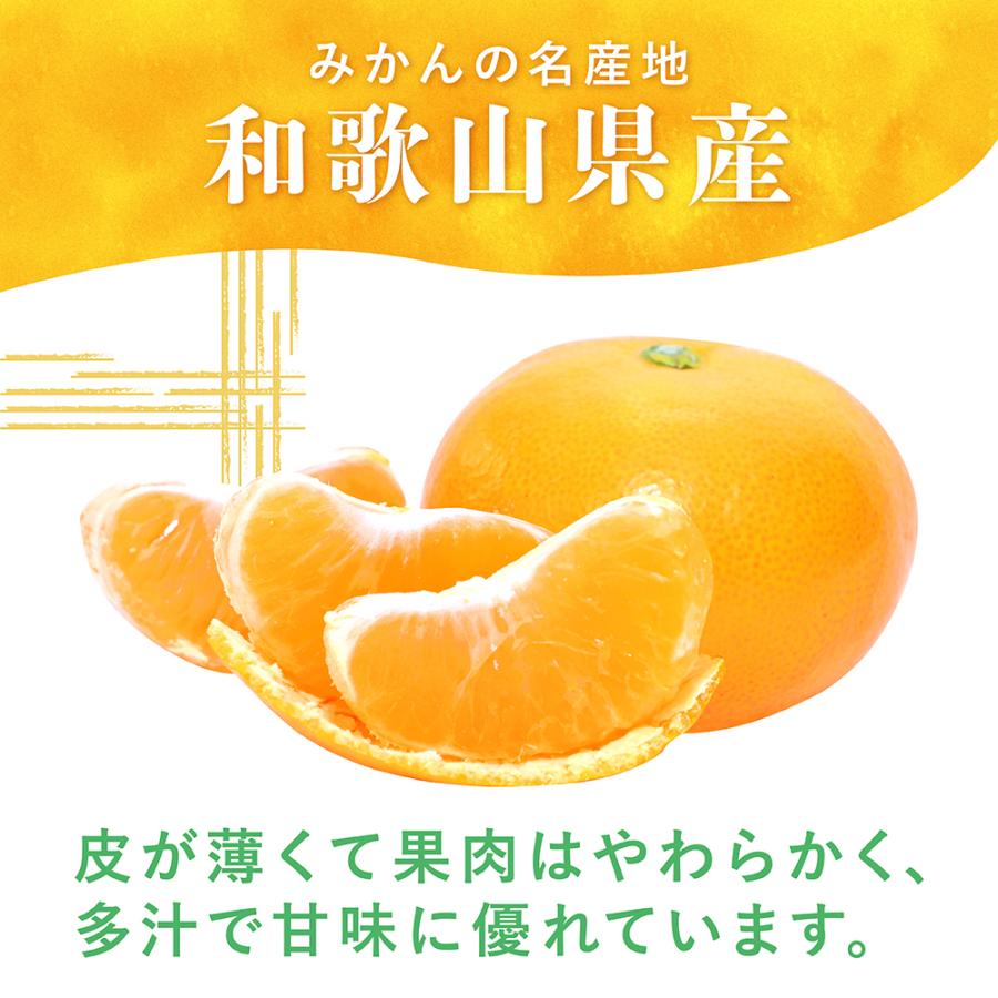温州みかん 秀品 2Lサイズ 10kg 和歌山県産 産地直送 : 愛須商店