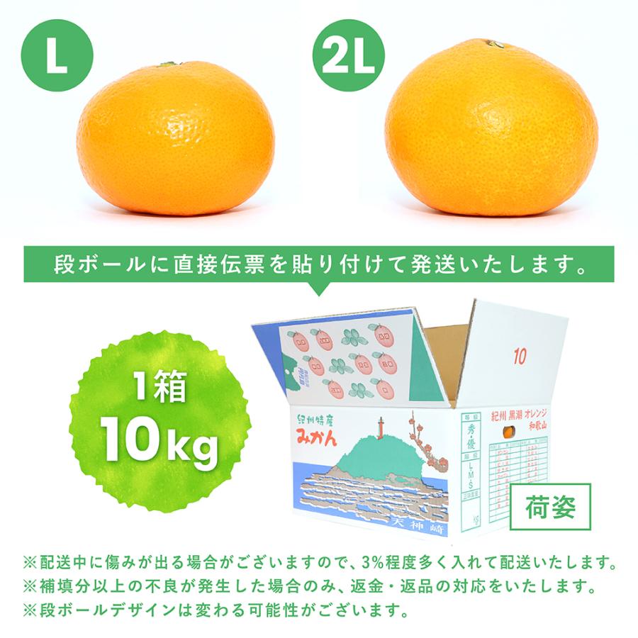 温州みかん 秀品 2Lサイズ 10kg 和歌山県産 産地直送 : 愛須商店