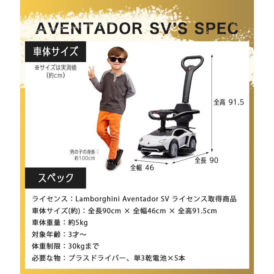 b*5様 Burton custom 148cm SUPER FLY II スノ b*5様 Burton custom 148cm SUPER FLY II スノ（カスタム