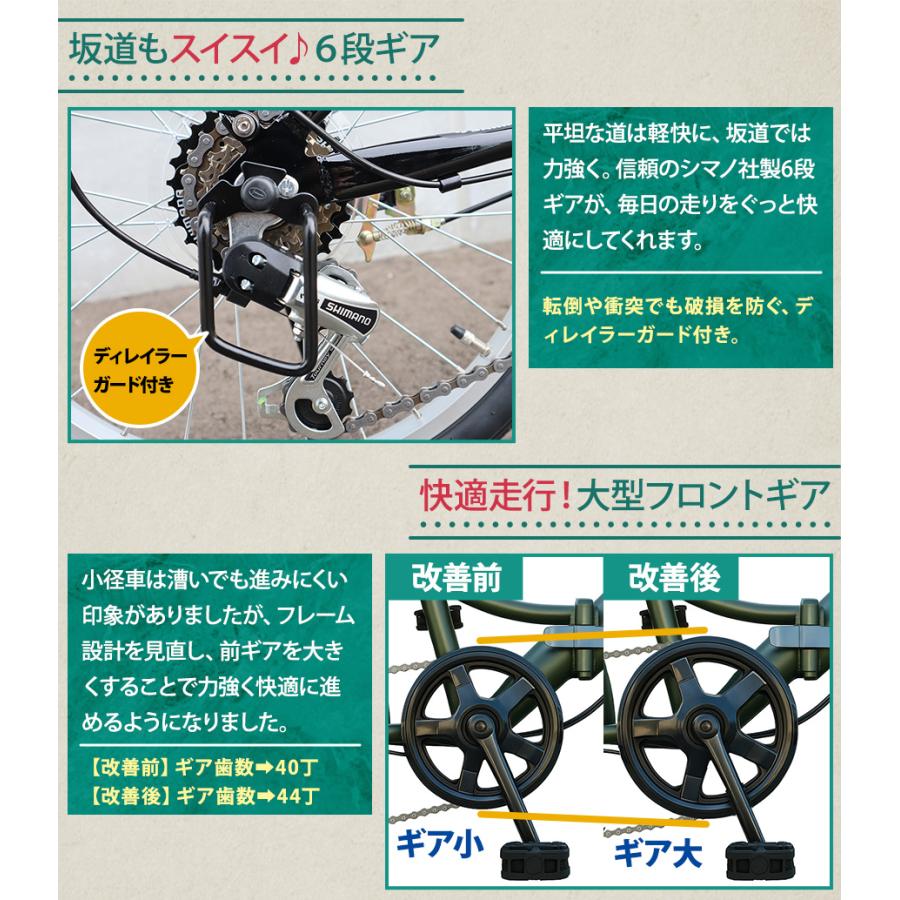 自転車 折りたたみ自転車 20インチ シマノ 社製 外装 6段 ギア 荷台 カゴ 付き フロント LEDライト プレゼント [TS-20] | アイジュサイクル | 13