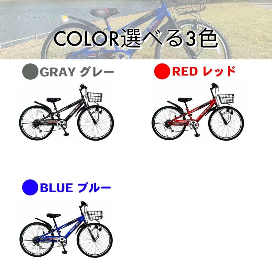 子供用自転車 24インチ 子ども用 自転車 6段変速  クリスマス カゴ ACE BUDDY CTB246HDの画像
