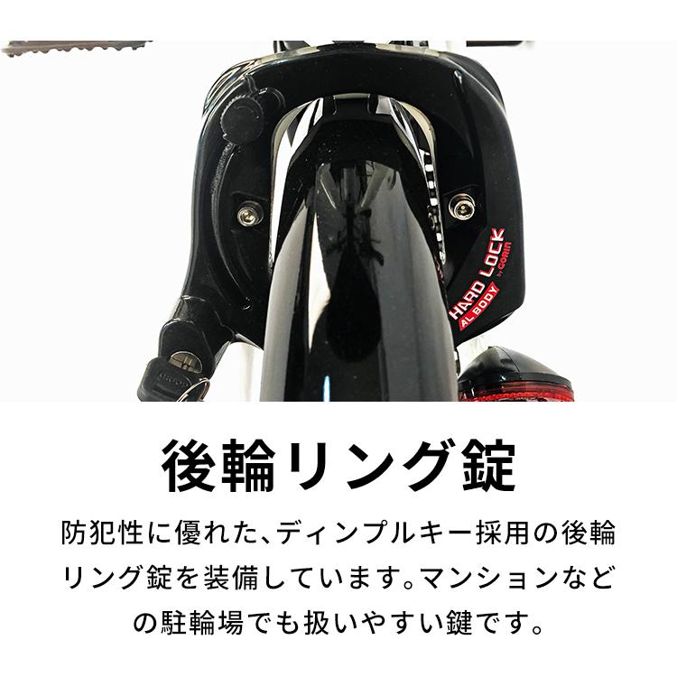 PELTECH 電動アシスト自転車 20インチ 折りたたみ自転車 電動 PELTECH 電動アシスト自転車 20インチ 折りたたみ自転車 電動