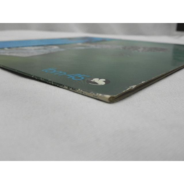 金井英人 鳥の詩 冊子付き LP TBM-45 TBM 金井英人 / キングス・ロアー 鳥の詩 TBM-45 HIDETO KANAI