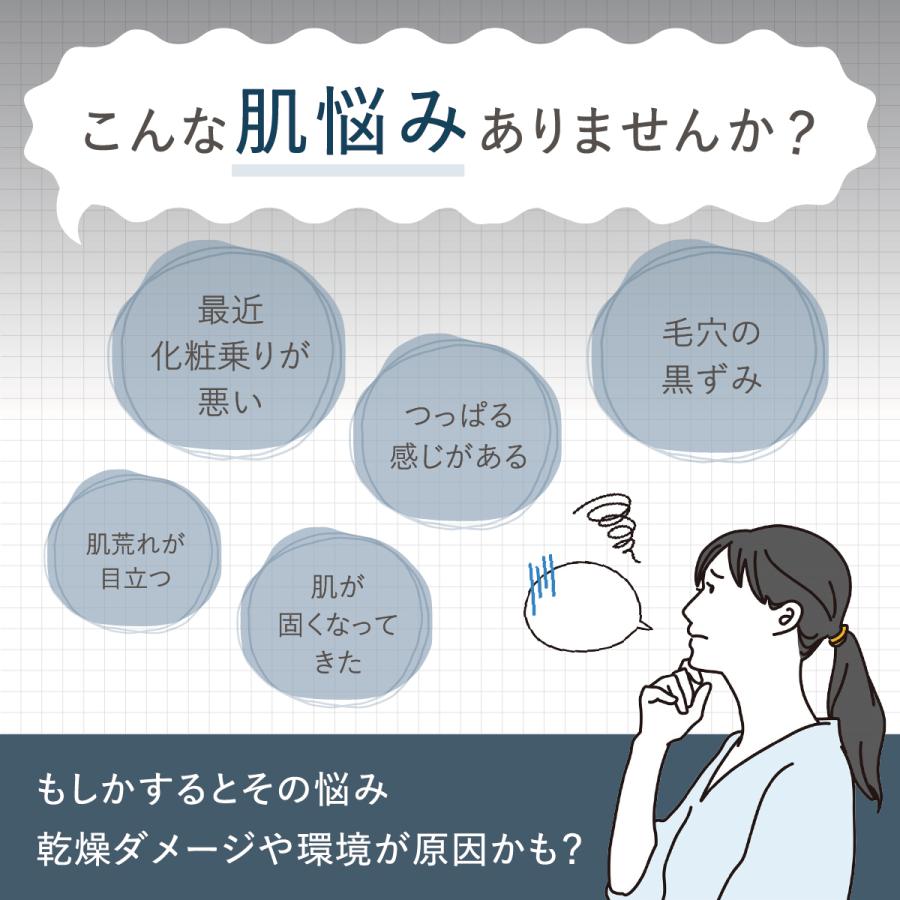 LINKA（リンカ） フェイシャルスチーマー イオンフェイススチーマー