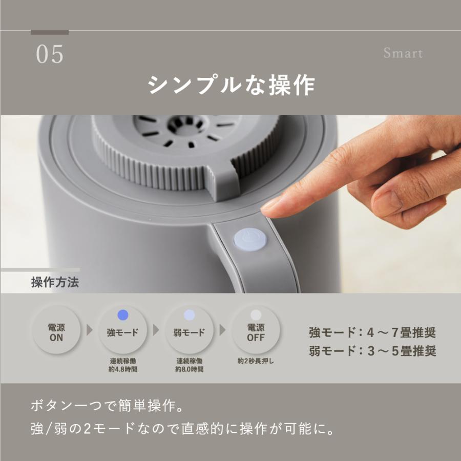 LAVINO（ラビーノ） ホットモイスト スチーム式 卓上加湿器 8時間連続