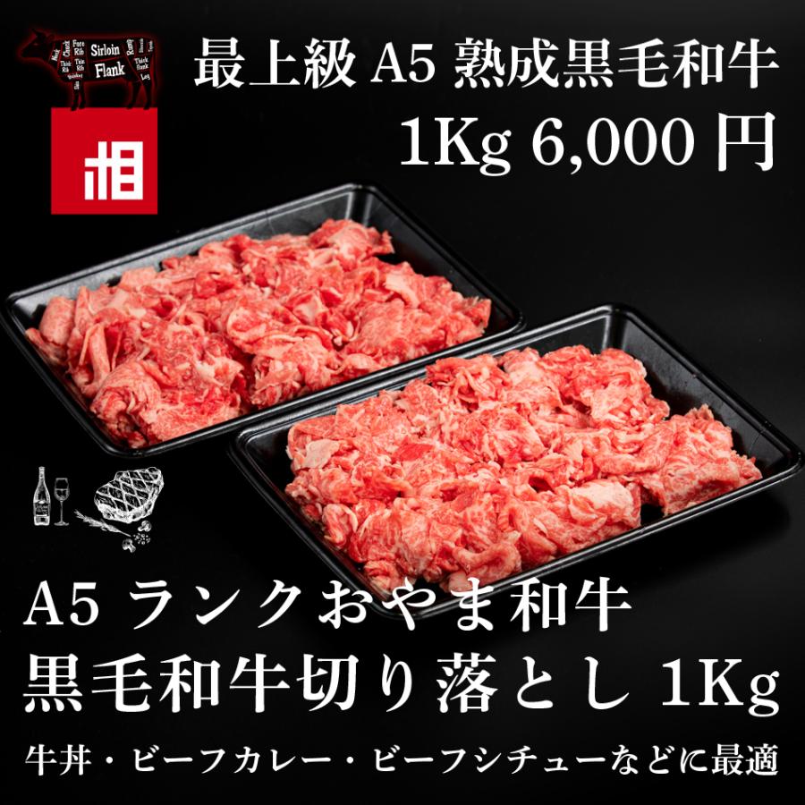 熟成黒毛和牛a5切り落とし１kg 6 000円 牛丼 ビーフシチュー ビーフカレー しぐれ煮 炒め物 ビーフストロガノフ H Kiriotoshi 500 熟成黒毛和牛の相沢商店 通販 Yahoo ショッピング
