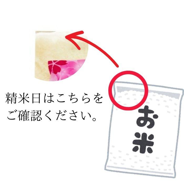 令和7年産 福島県産つきあかり 無洗米 長期保存 脱酸素剤入り 送料無料