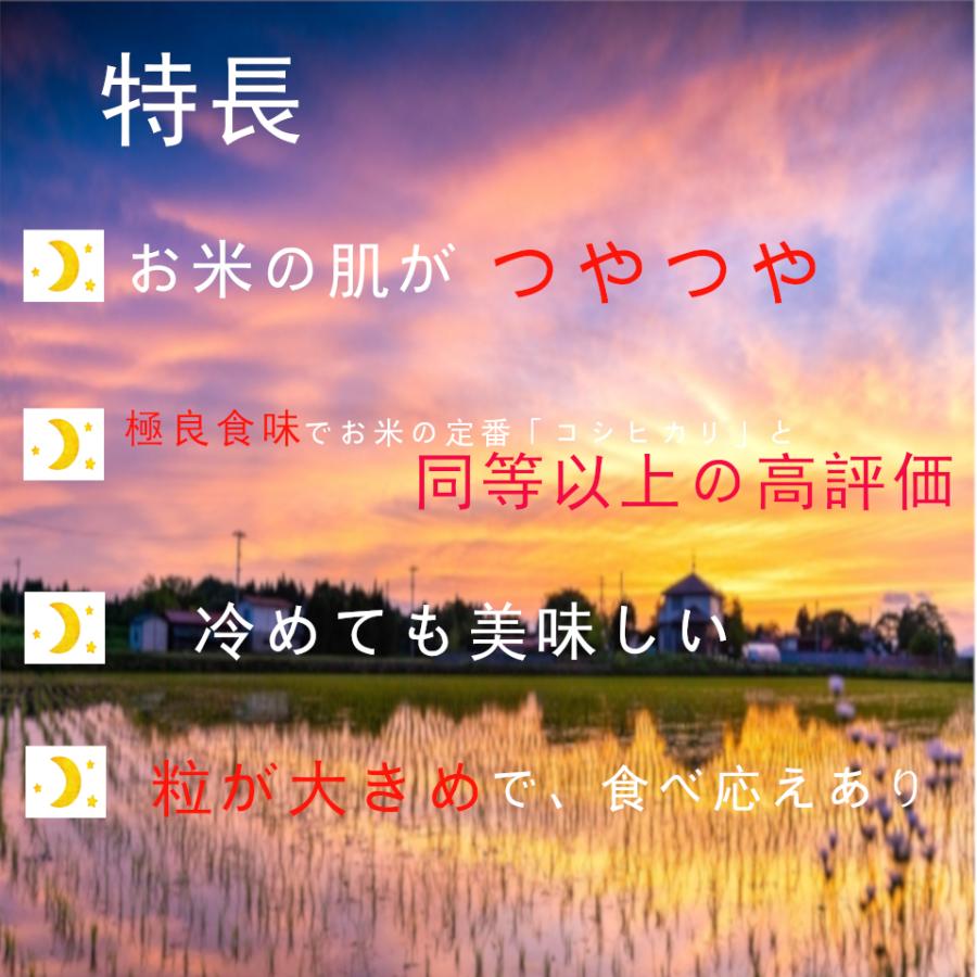 玄米 30kg 令和5年産 福島県産つきあかり 30kg(30kg×1袋) 送料無料 米 お米 30kg キラッと玄米 (沖縄・離島 別途送料+1100円)｜aizu-crops｜08